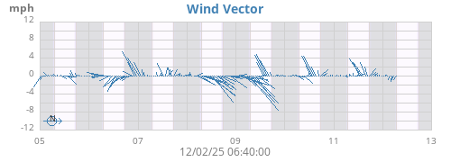 Wind Vector